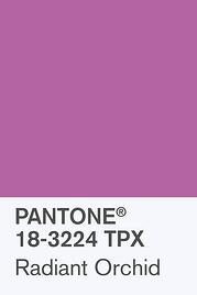 pantone-radiant-orchid-vogue-6dec13-pr_b_426x639