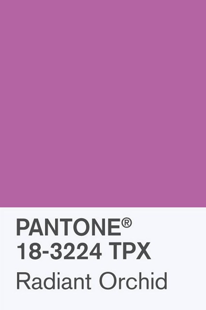 pantone-radiant-orchid-vogue-6dec13-pr_b_426x639